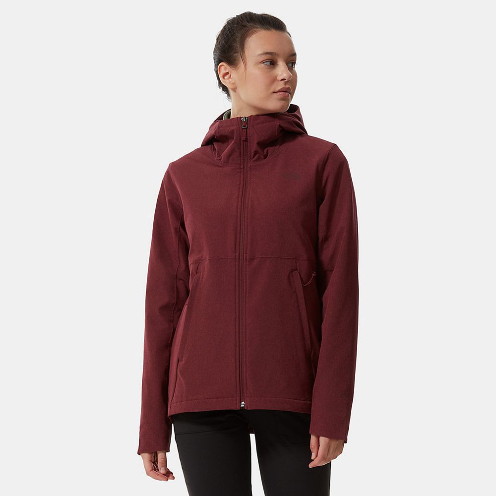 The North Face Fleece Jacket Womens Australia - The North Face Shelbe Raschel Red Hiking (TWQ-340728